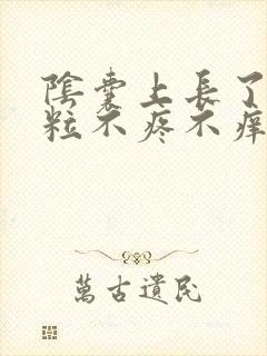 阴囊上长了个肉粒不疼不痒