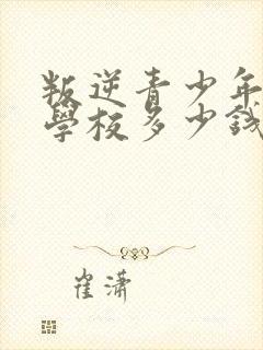 叛逆青少年特训学校多少钱封面