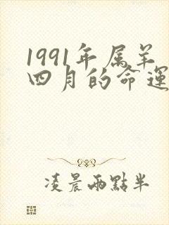 1991年属羊四月的命运如何