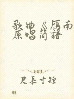 歌曲《雁南飞》原唱简谱封面