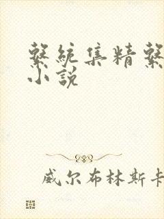 系统集精系统 小说