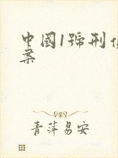 中国1号刑侦大案