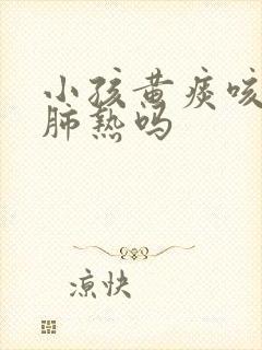 小孩黄痰咳嗽是肺热吗封面