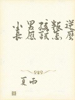 小男孩叛逆期家长应该怎么办封面