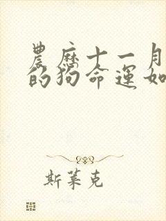 农历十一月出生的狗命运如何