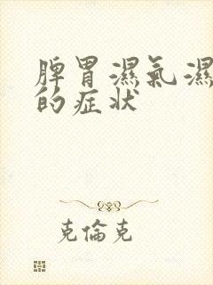 脾胃湿气湿热重的症状