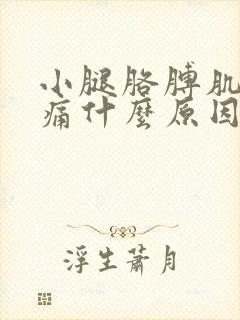 小腿胳膊肌肉酸痛什么原因封面