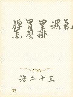 脾胃里湿气太重怎么排