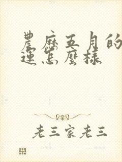 农历五月的蛇命运怎么样封面