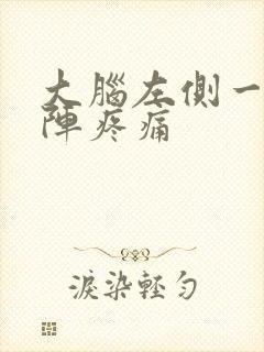 大脑左侧一阵一阵疼痛