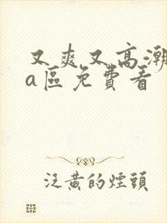 又爽又高潮视频a区免费看