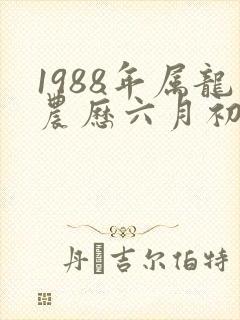 1988年属龙农历六月初六命运