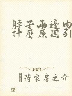 脖子两边肉疼是什么原因引起的