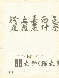 脸上长白色的小痘痘是什么原因