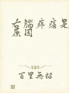 右脑疼痛是什么原因