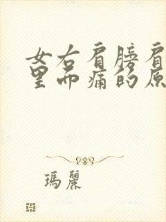 女右肩膀肩胛骨里面痛的原因