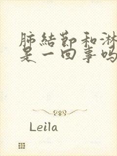 肺结节和淋巴结是一回事吗