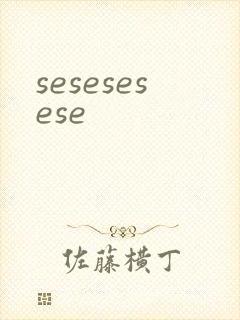 sesesesese封面