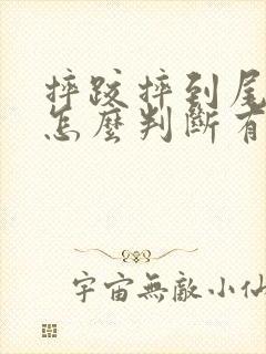 摔跤摔到尾椎骨怎么判断有没有骨折