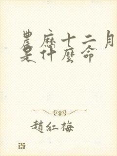 农历十二月初三是什么命