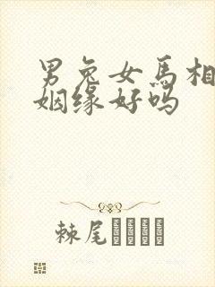 男兔女马相配的姻缘好吗封面