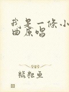 我是一条小河词曲原唱