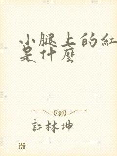 小腿上的红点点是什么