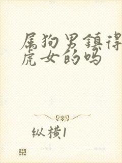 属狗男镇得住属虎女的吗