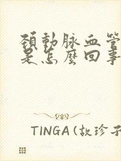 颈动脉血管斑块是怎么回事