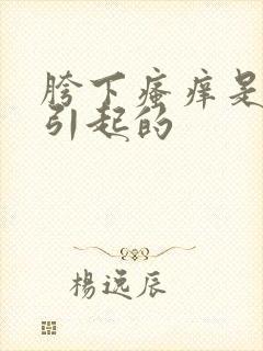 胯下瘙痒是什么引起的