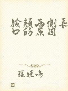 脸颊两侧长痘闭口的原因