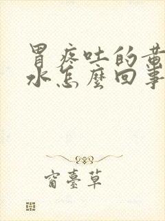 胃疼吐的黄色苦水怎么回事