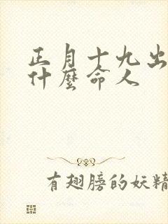 正月十九出生是什么命人封面