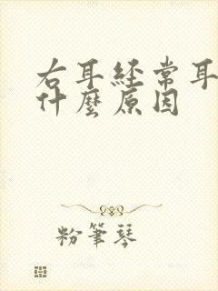 右耳经常耳鸣是什么原因