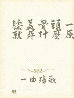 膝盖骨头一用力就疼什么原因