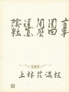 阴道周围有小肉粒怎么回事封面