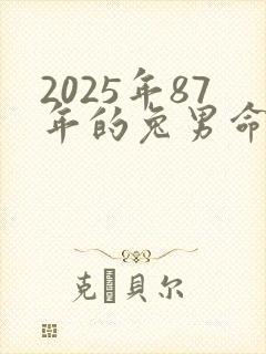 2025年87年的兔男命运如何