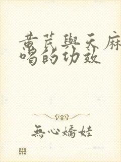 黄芪与天麻泡水喝的功效