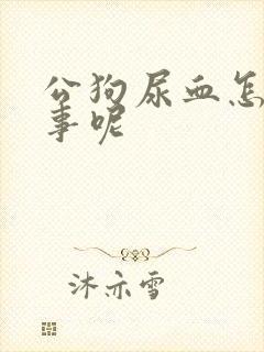 公狗尿血怎么回事呢