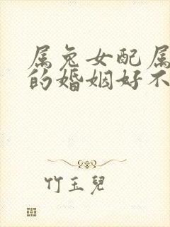 属兔女配属龙男的婚姻好不好封面