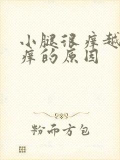 小腿很痒越抓越痒的原因