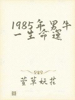 1985年男牛一生命运