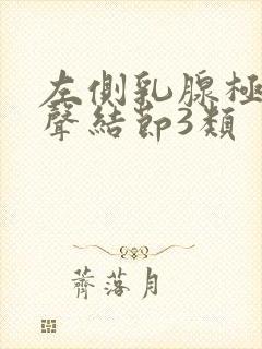 左侧乳腺极低回声结节3类