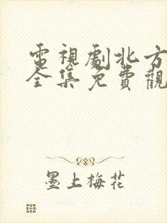 电视剧北方警察全集免费观看封面