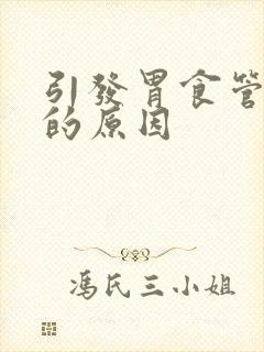 引发胃食管反流的原因