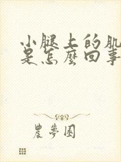 小腿上的肌肉疼是怎么回事