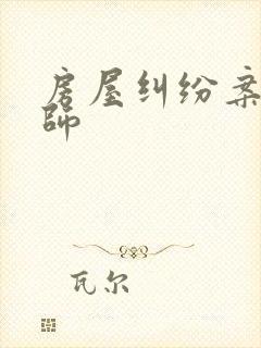 房屋纠纷案的律师封面