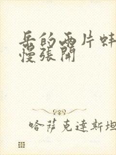 岳的两片蚌肉慢慢张开