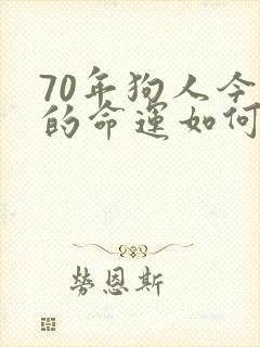 70年狗人今年的命运如何
