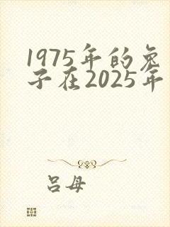 1975年的兔子在2025年运势如何